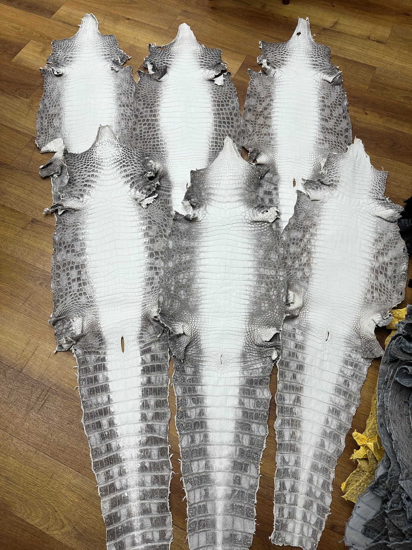 Preorder Genuine Crocodile Skin Leather Briefcase