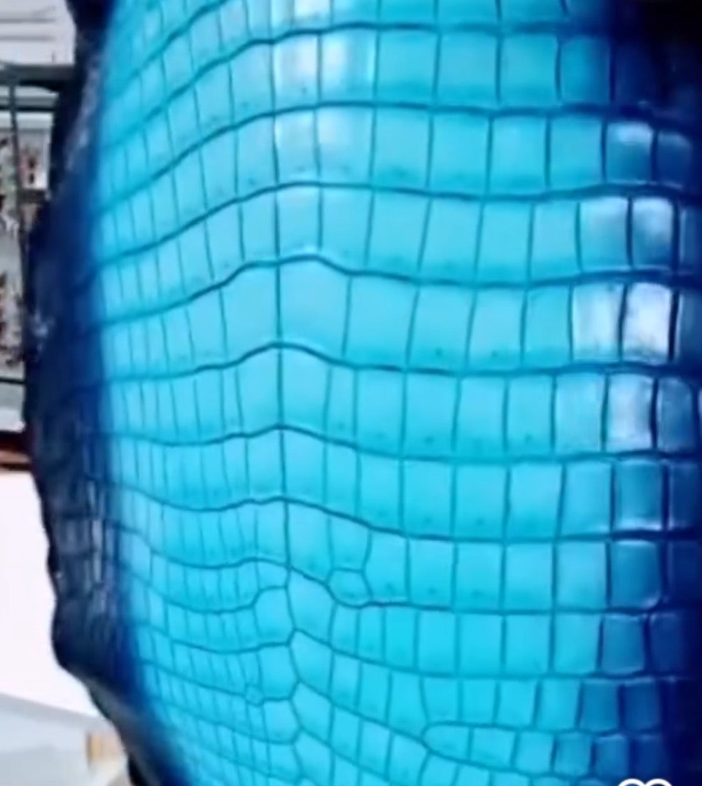 Preorder Womens Vintage Crocodile Leather Satchel Bag