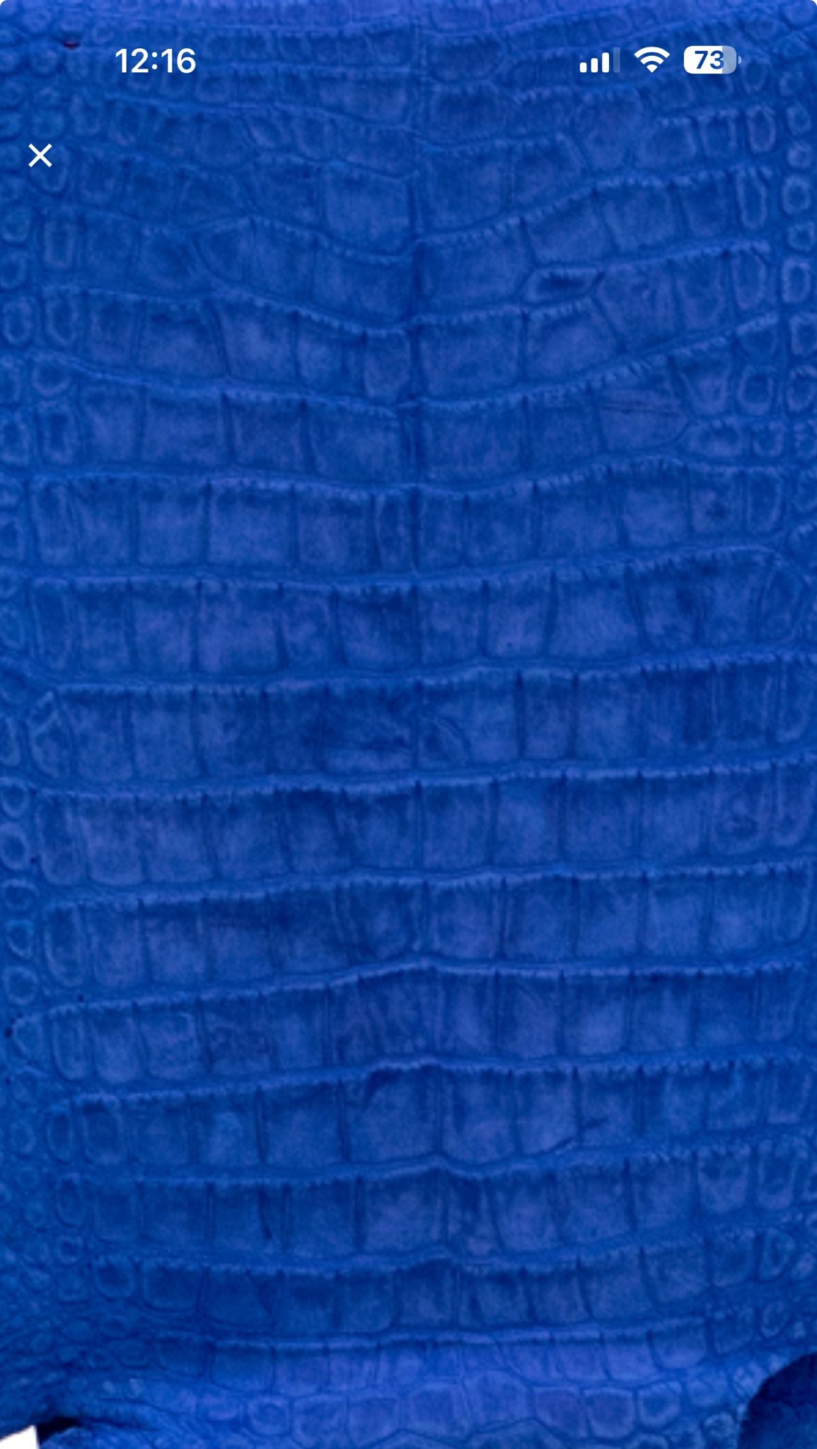 Genuine Crocodile Leather Dog Lish And Collar