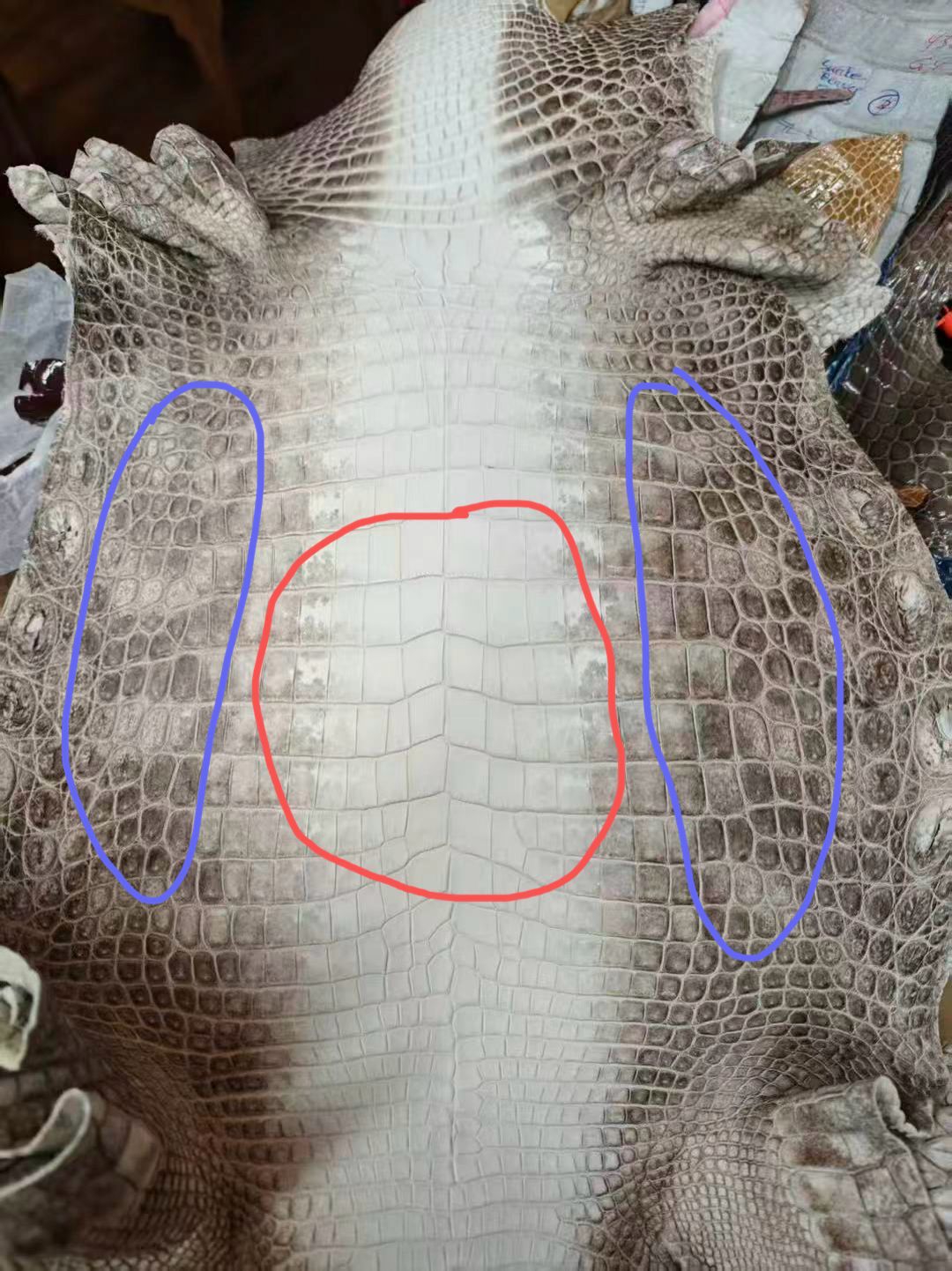 Preordina Mocassini da Uomo in Pelle di Coccodrillo