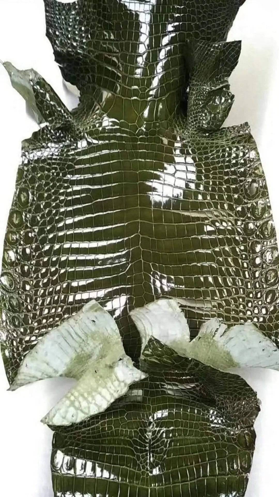 Crocodile Skin Belly Leather Colorway