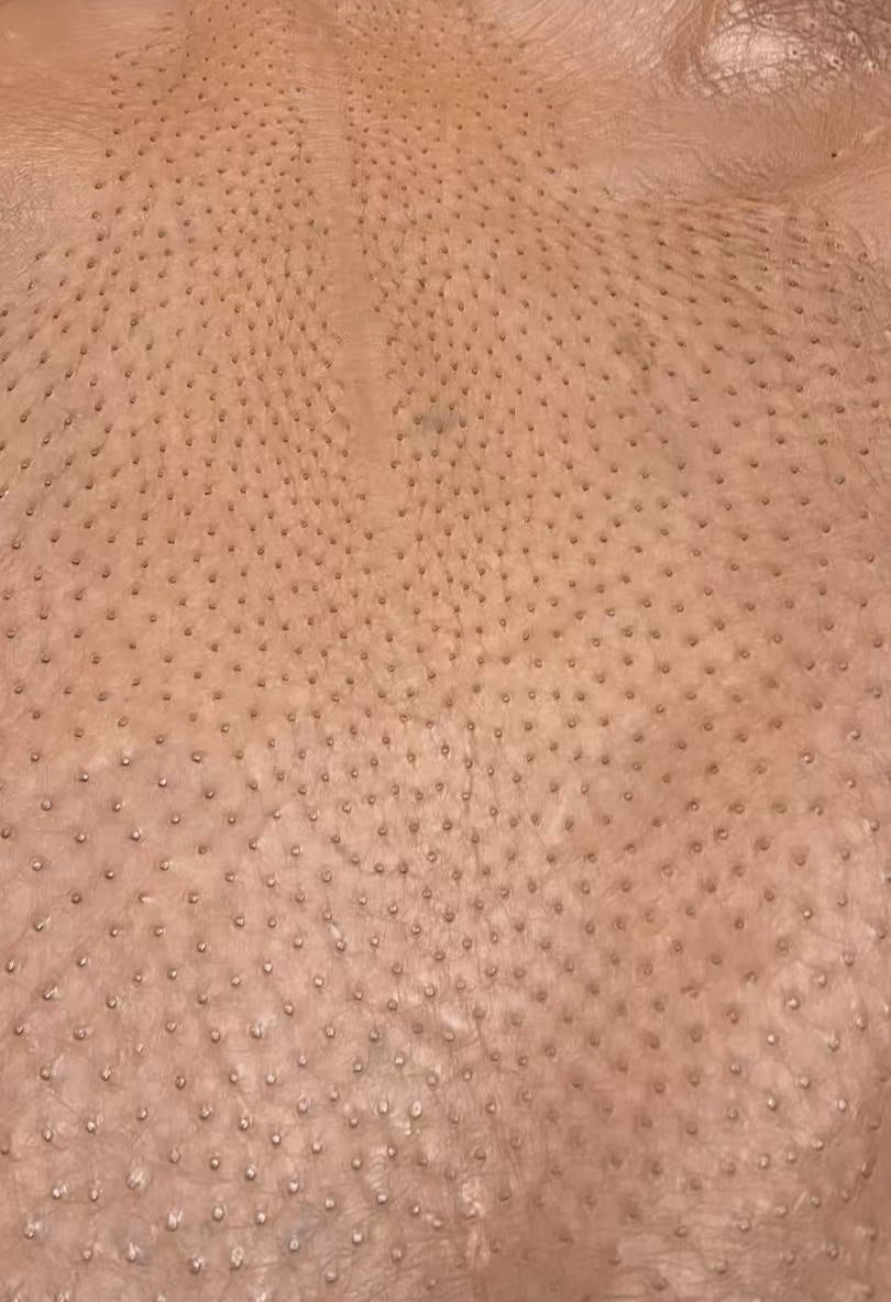 Preorder Ostrich Skin Leather 16" Macbook Pro Case