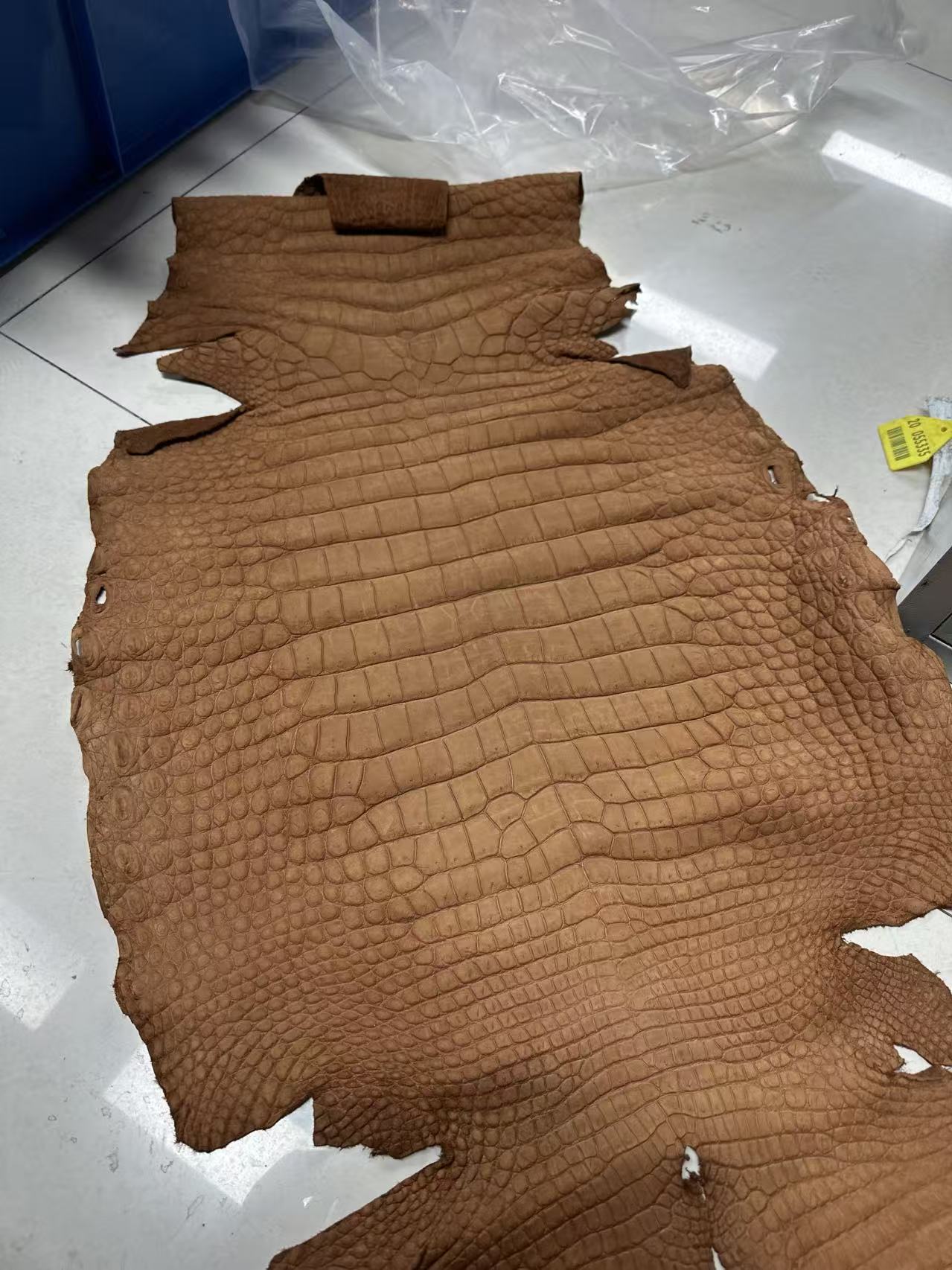 Đặt Trước Unisex Túi Clutch Da Cá Sấu Thật Nubuck Có Khóa Kéo Và Tay Cầm Màu Be