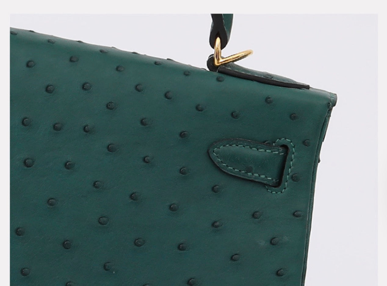 Túi nắp da da trăn thật Python 20cm