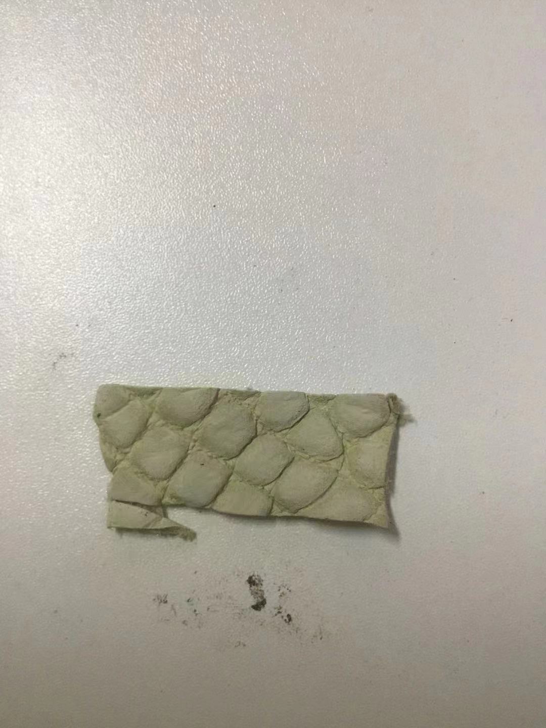 Preorder Nubuck Crocodile Leather Blazer Beige