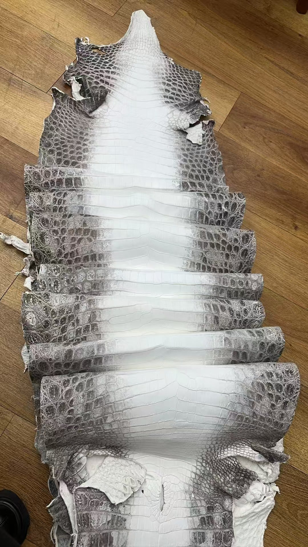 Preorder Genuine Crocodile Skin Leather Briefcase