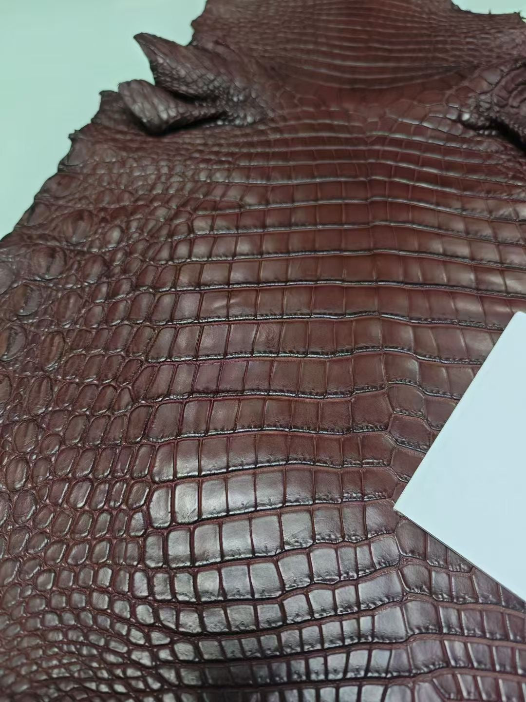 Preorder Womens Genuine Crocodile Skin Top Handle Canvas Bag Large