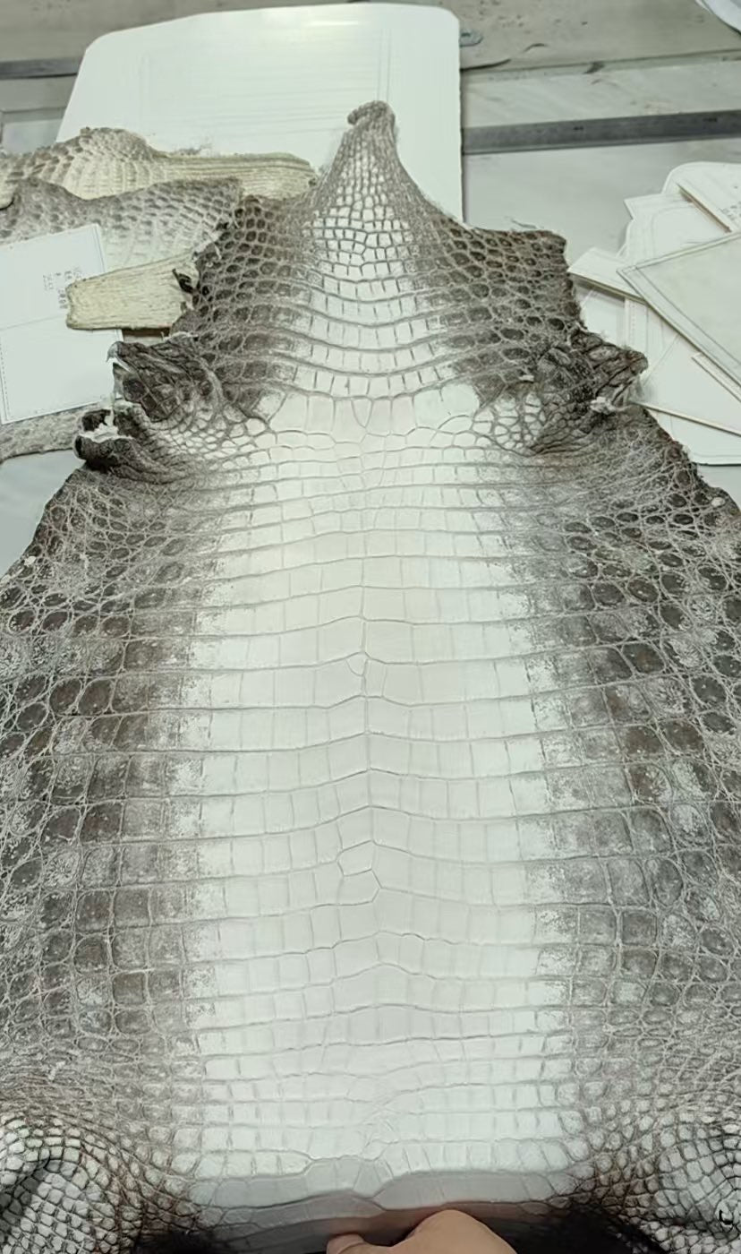 Unisex Himalaya WhigteGenuine Crocodile Skin Leather Zipper Handle Clutch Bag Himalayan White