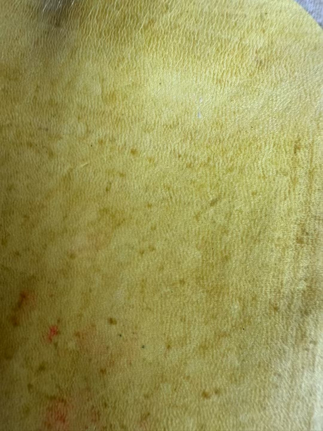 Preorder Genuine Shell Cordovan Leather Loafer Shoes With Tassle