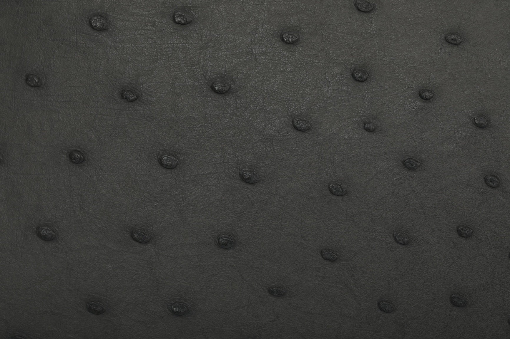 Womens Genuine Ostrich Skin Leathe Top Handle Bag