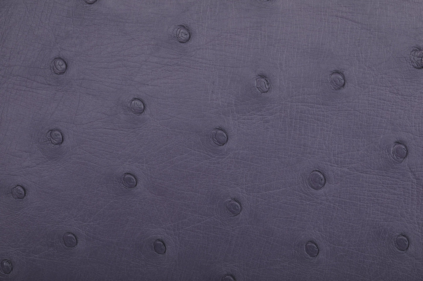 Ostrich Leather Mini Shell Bag Bamboo Handle Top Handle Cross Body Handbag