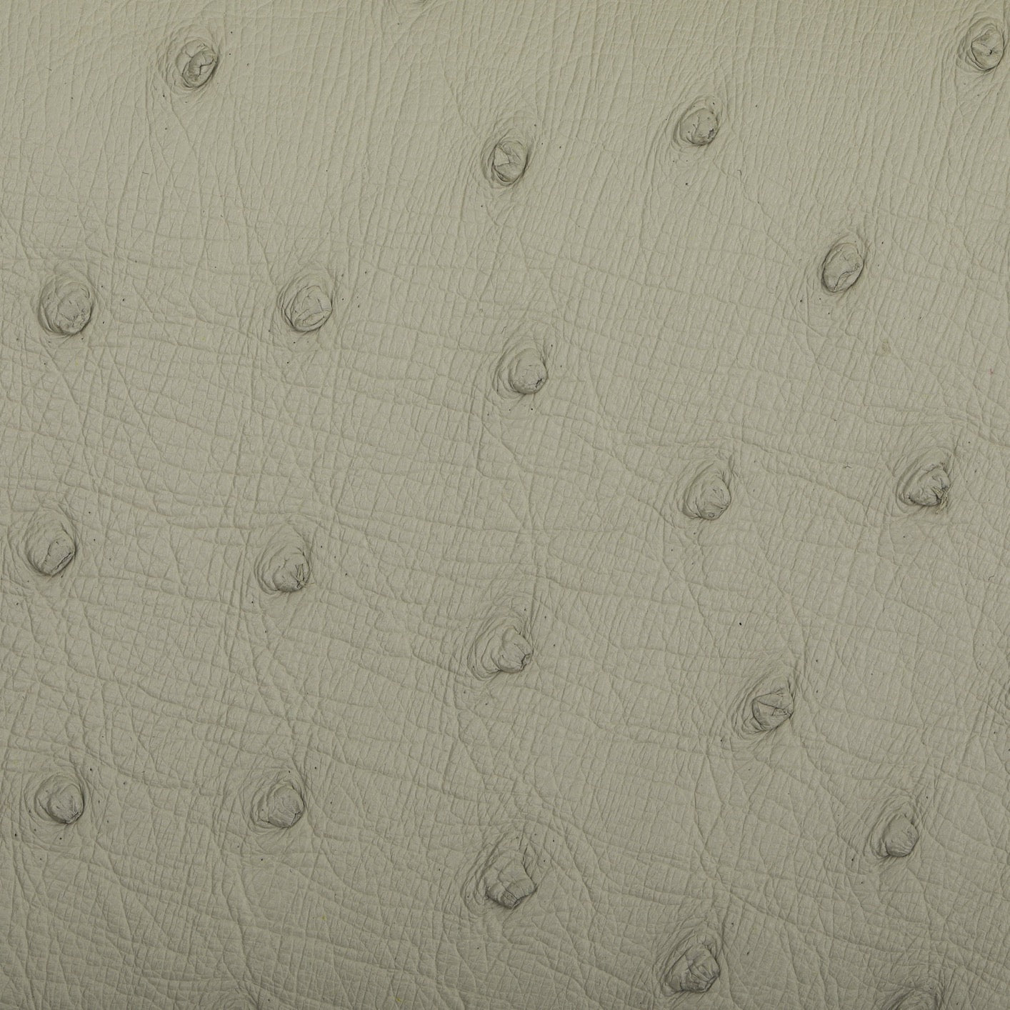 Ostrich Leather Top Handle Tote Bag