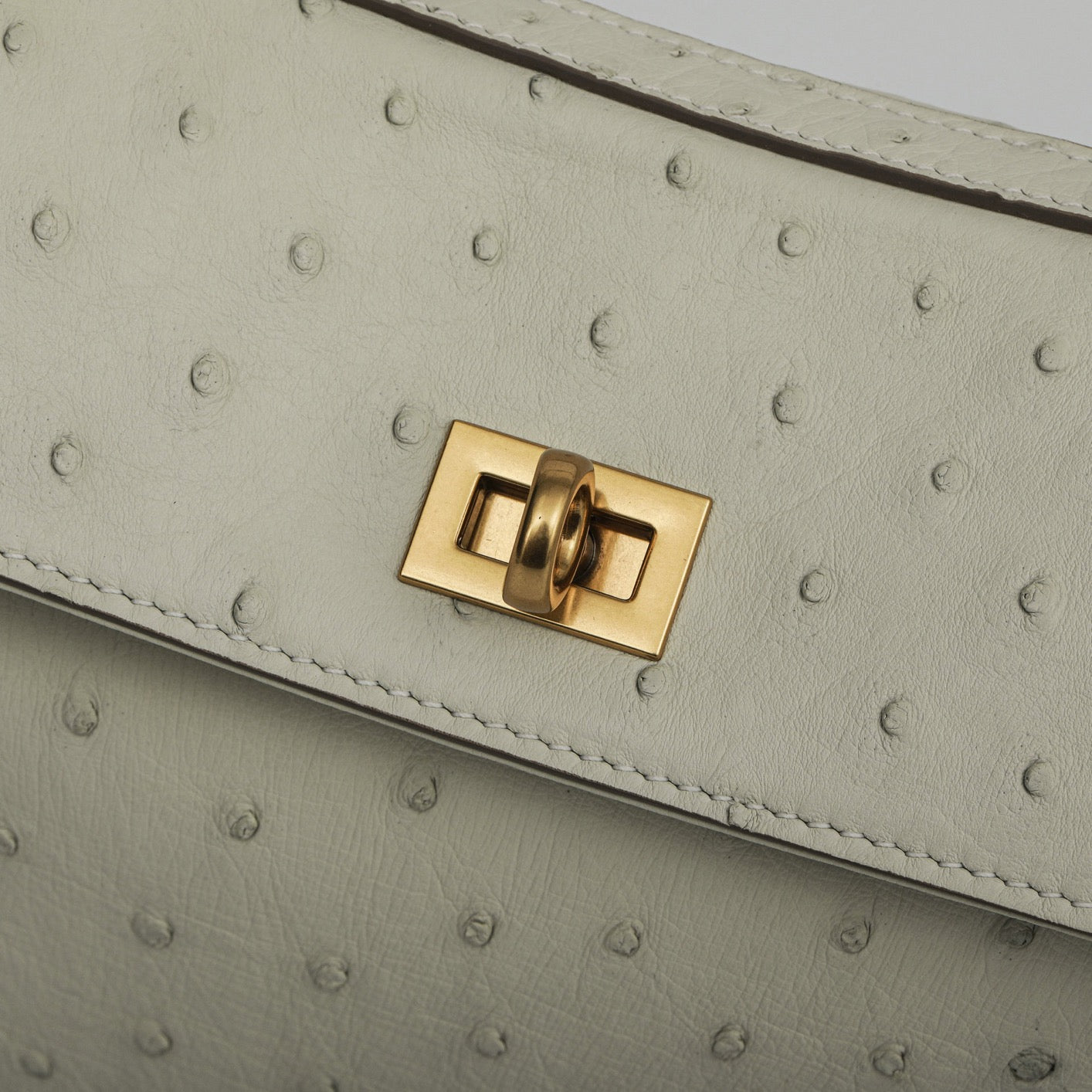 Ostrich Leather Top Handle Tote Bag