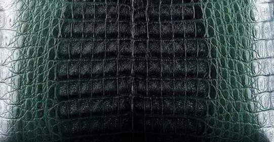 Crocodile  Skin Belly Leather Colorway