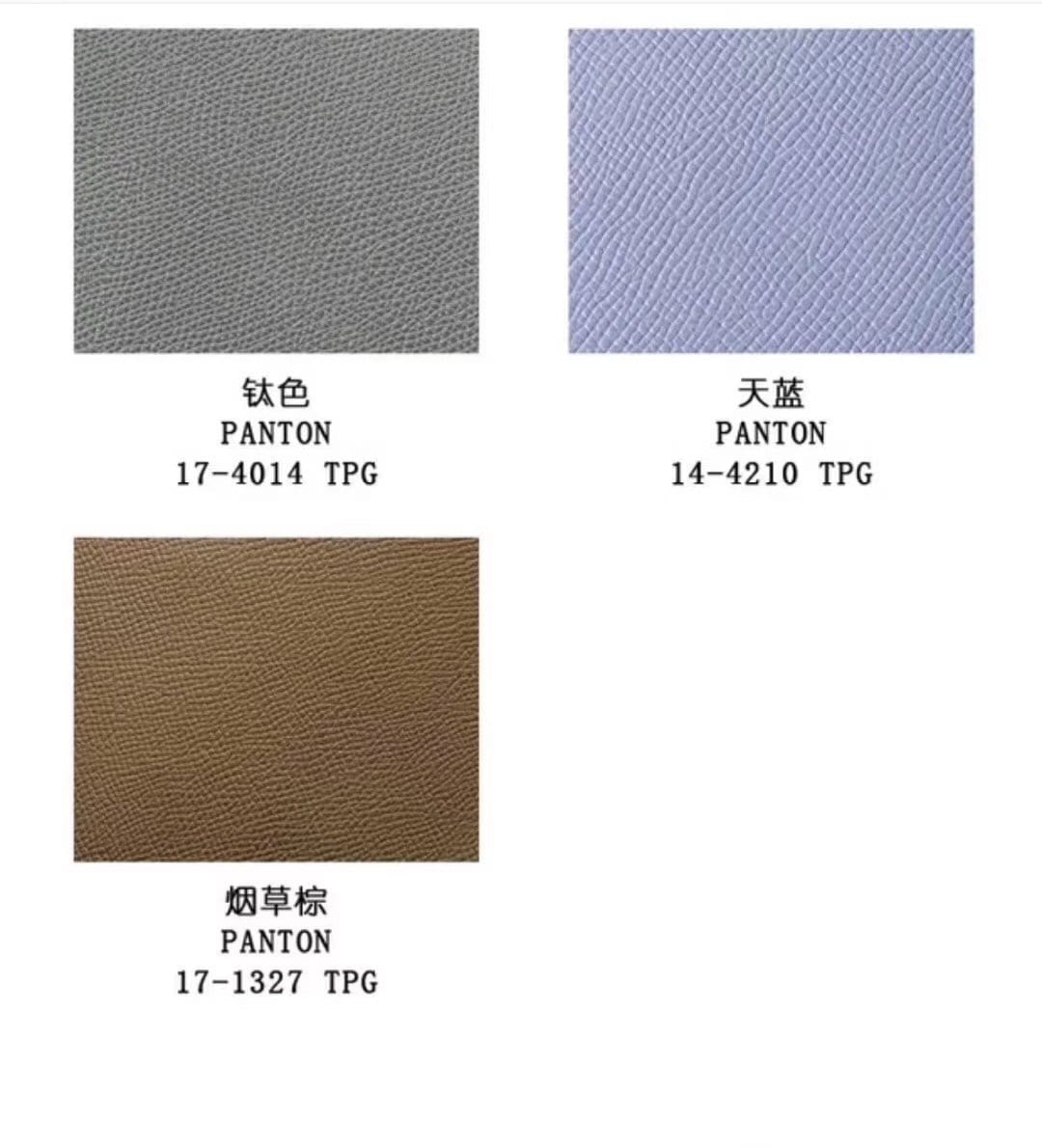 Variante colore France in pelle Epsom