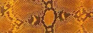 Python Skin Leather Colorway